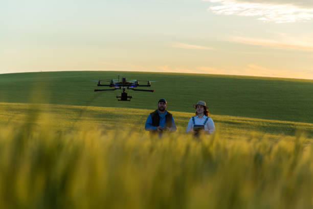 istock Drone no copyright fly in the wheat crop 1359211791
