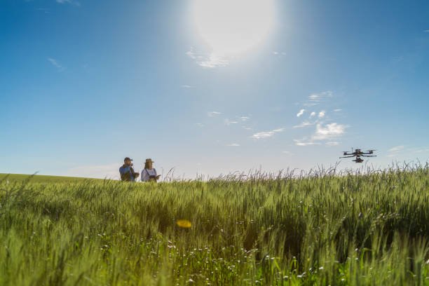istock Drone no copyright fly in the wheat crop 1359211794