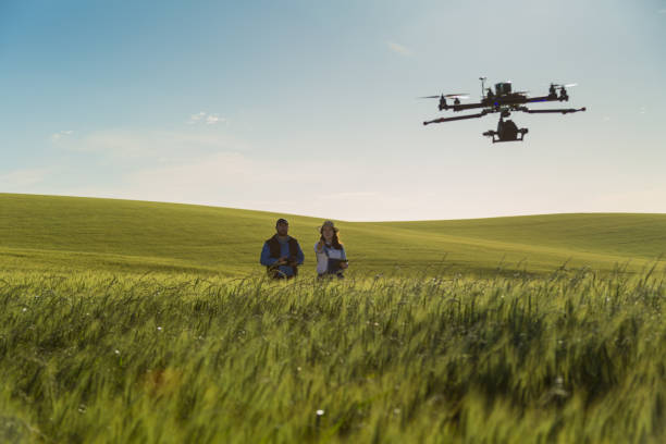 istock Drone no copyright fly in the wheat crop 1359211803