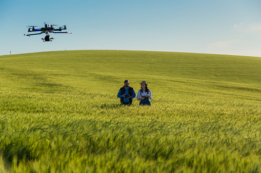 This drone has been assembled and has no trademark inspecting a wheat field.\nMore images and videos in our portfolio https://www.istockphoto.com/collaboration/boards/XzTIkx_DBkyP7bhdXqZE7A