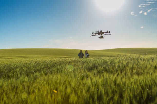 istock Drone no copyright fly in the wheat crop 1359211810