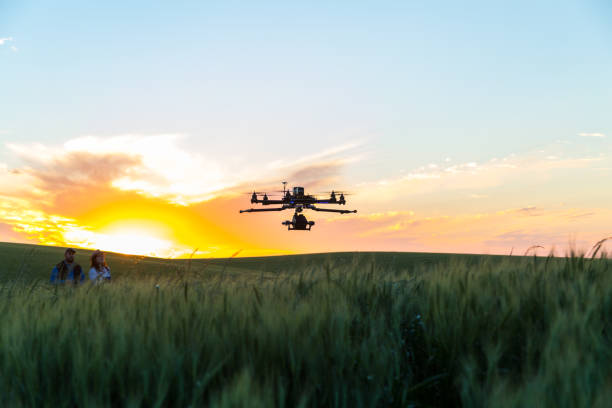 istock Drone no copyright fly in the wheat crop 1359211825