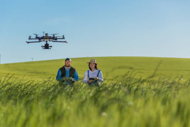 istock Drone no copyright fly in the wheat crop 1359211827