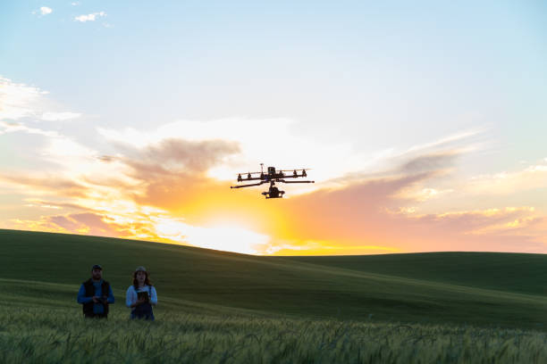 istock Drone no copyright fly in the wheat crop 1359211828