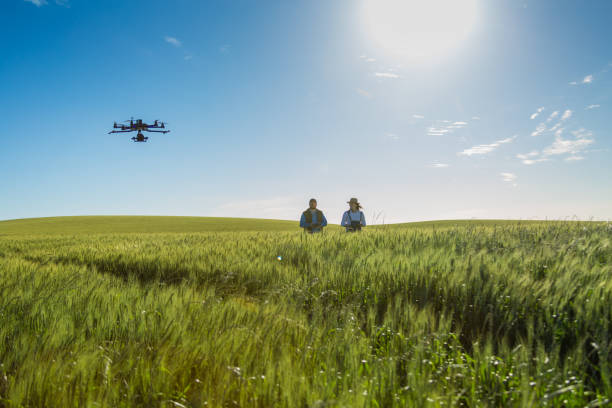 istock Drone no copyright fly in the wheat crop 1359211834