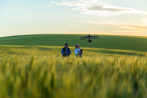 This drone has been assembled and has no trademark inspecting a wheat field.\nMore images and videos in our portfolio https://www.istockphoto.com/collaboration/boards/XzTIkx_DBkyP7bhdXqZE7A