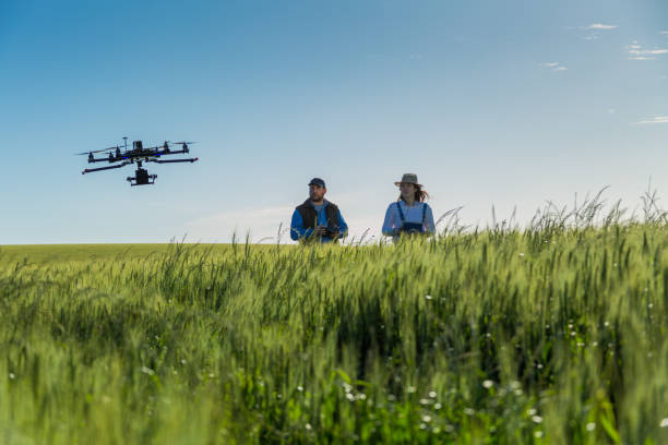 istock Drone no copyright fly in the wheat crop 1359211845
