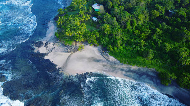 piękna plaża w kostaryce - costa rica zdjęcia i obrazy z banku zdjęć