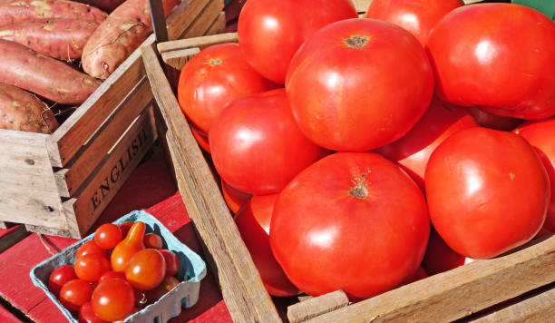 légumes à la tomate dans un panier en caisse au marché fermier - market raw potato fruit basket photos et images de collection