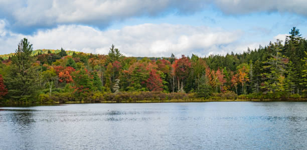 istock fall foliage colors along pond shoreline 1359226181