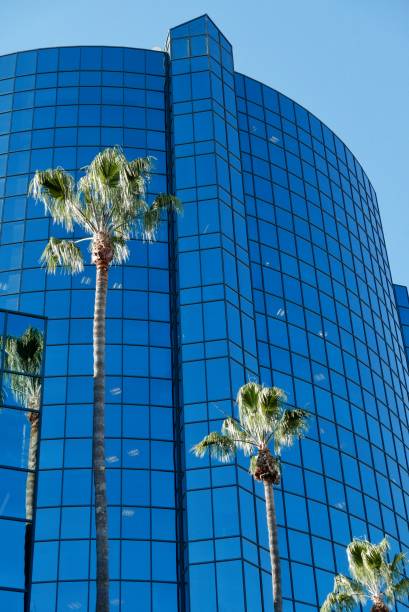 istock Industrial Construction of Building 1359229320