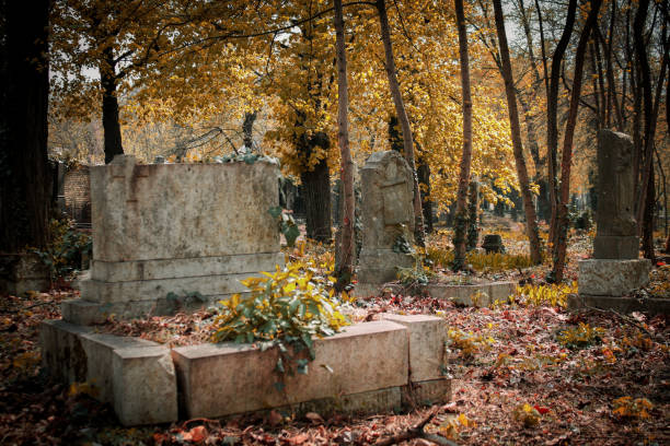 Broken graves Autumn view of the Kerepesi historic cemetery in Budapest. Also known as Fiume Road Graveyard. The scrapyard is in the background. Taken in spring 2019. grave digger stock pictures, royalty-free photos & images