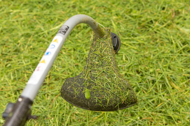 istock Gardener cutting the grass in his garden. 1359230341