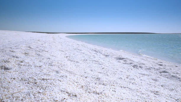 istock low angle clip of shell beach at shark bay 1359231447
