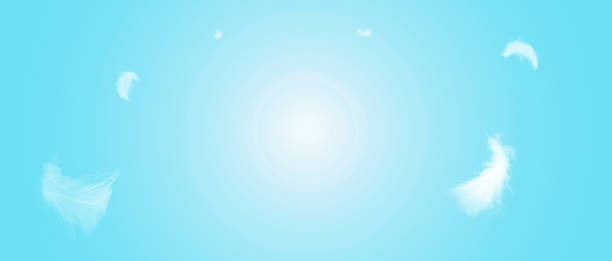 istock White feathers floating in the sky 1359234646