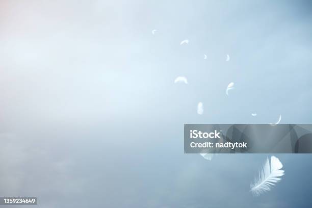 White Feathers Floating In The Sky Stock Photo - Download Image Now - Feather, Angel, Abstract