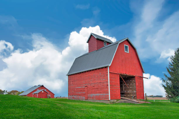 istock Red Barn in Western Iowa 1359238163