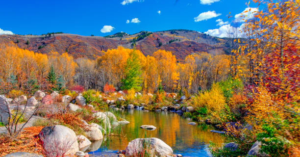 istock Small Stream with fall leaf color-Near Aspen,Colorado 1359238193