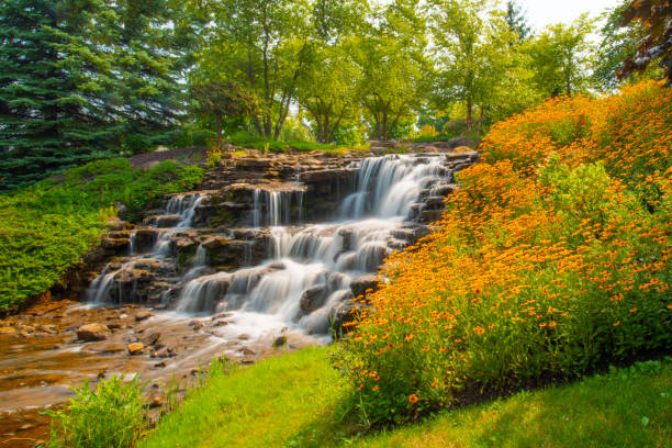 istock Waterfall and flowers-Hamilton County, Indiana 1359238291