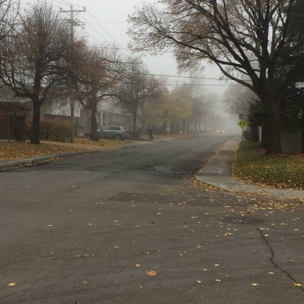 istock Fog in the air 1359239038