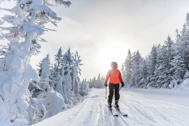 ski. skieuse alpine skieuse sur des skis portant un casque, des lunettes de ski cool et une veste d’hiver rigide et des gants de ski. femme faisant du ski alpin parmi les arbres enneigés sur la piste de ski - skiing sports helmet powder snow ski goggles photos et images de collection