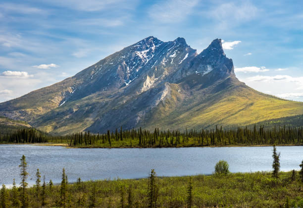 istock Mt Sukakpak, Alaska 1359241910