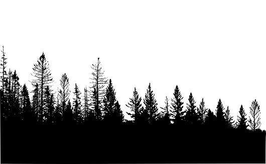 Silhouette vector illustration of a treeline in British Columbia Canada with coniferous trees and leafy trees as well