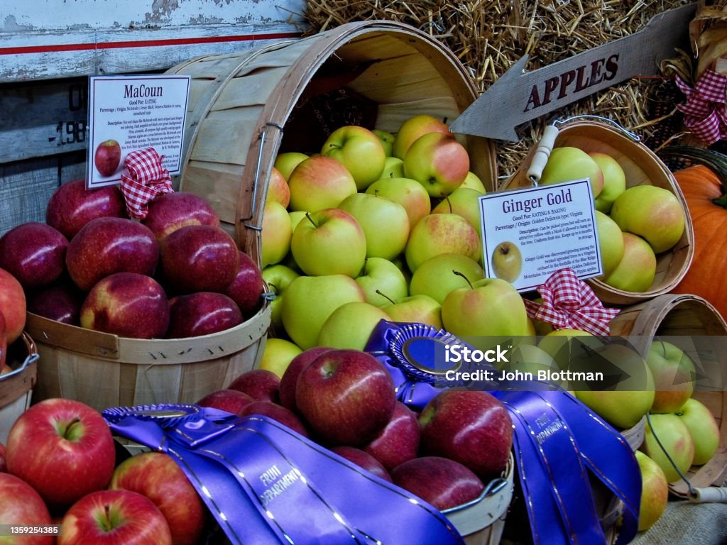 Prize winning fruit on display at the Topsfield Fair Prize winning fruit on display at the Topsfield Fair. The Topsfield Fair has been held for over 200 years. The Essex Agricultural Society was first established in 1818 to promote  the agricultural interests of farmers in Essex County, Massachusetts. The Fair descended from the original Cattle Show of 1820 and has been  hosted at the Society owned Treadwell Farm in Topsfield MA since 1910. Agricultural Fair Stock Photo