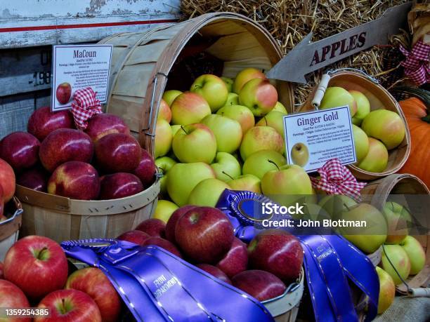 Prize Winning Fruit On Display At The Topsfield Fair Stock Photo - Download Image Now