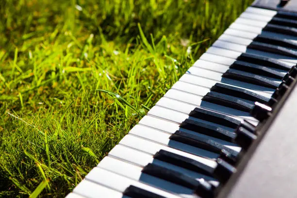 Piano Keyboard closeup on the Green Grass with a Sunlight