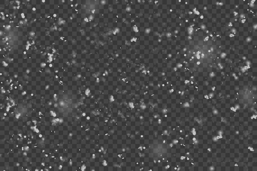 Snow Without Backround Falling Snow Isolated On Transparent Background Stock Illustration ...