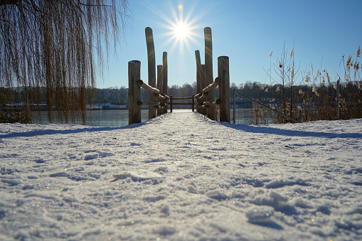 Dock also pier with white snow leads to the frozen lake in the sun. Weeping willow tree and creed on the sides. Blue sky. Deep perspective.