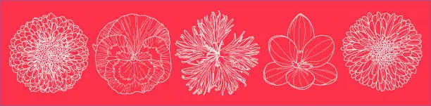 Vector illustration of Set of five fall flowers outlines art in a top view shot vectors against magenta wallpaper