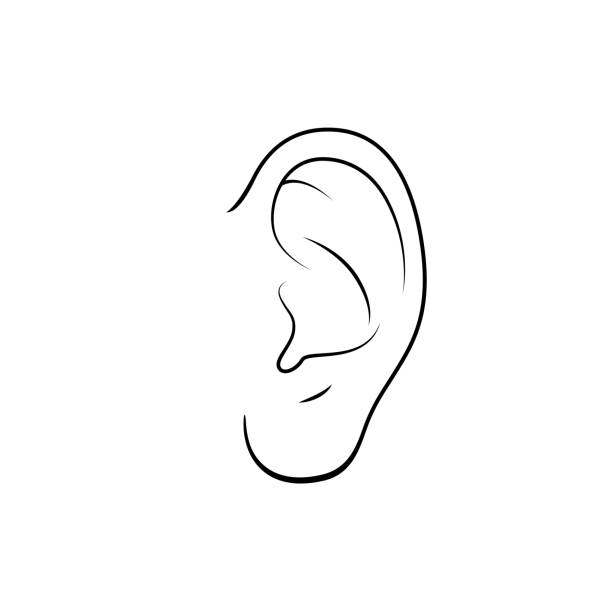 ilustraciones, imágenes clip art, dibujos animados e iconos de stock de ilustración vectorial en blanco y negro de la actividad infantil coloreando páginas de libros con imágenes de oreja naranja. - human ear