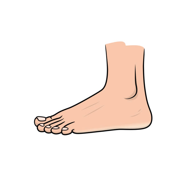 1,117 Cartoon Of Foot Injuries Illustrations & Clip Art - iStock