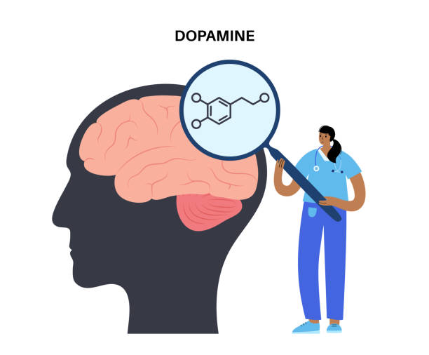 Dopamine formula icon Dopamine formula icon or logo. Monoamine neurotransmitter. Motivational component of reward motivated behavior. Motor control, controlling the release of various hormones vector illustration dopamine stock illustrations