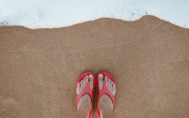 concetto di vacanza estiva a piedi nudi sulla sabbia in spiaggia con copyspace. - sole of foot human foot women humor foto e immagini stock