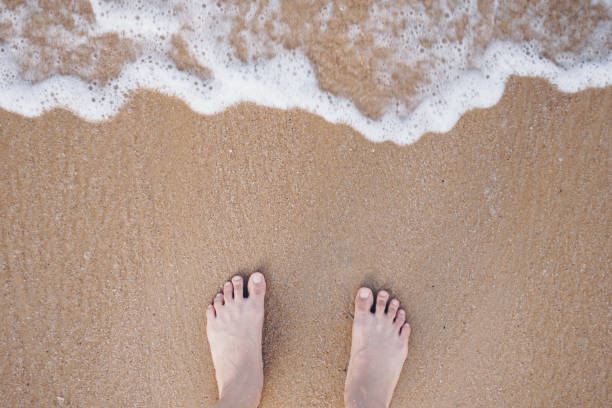 concetto di vacanza estiva a piedi nudi sulla sabbia in spiaggia con copyspace. - sole of foot human foot women humor foto e immagini stock