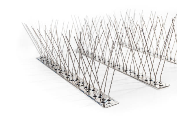 Closeup of multiple strips of bird spikes.