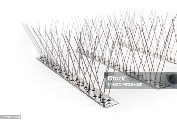 Closeup Of Multiple Strips Of Bird Spikes Stock Photo - Download Image Now - Spiked, Insect Repellant, Perching