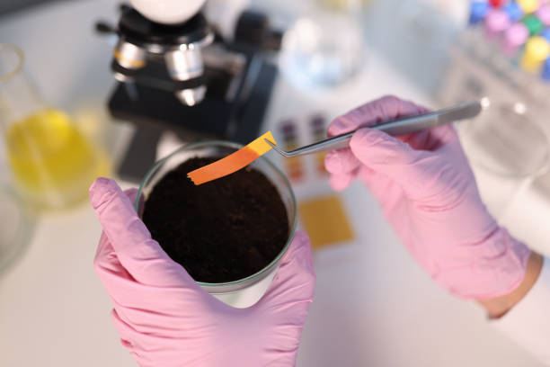 scientist chemist checking soil acidity using litmus paper in laboratory closeup - toxic substance dirt pollution scientific experiment imagens e fotografias de stock