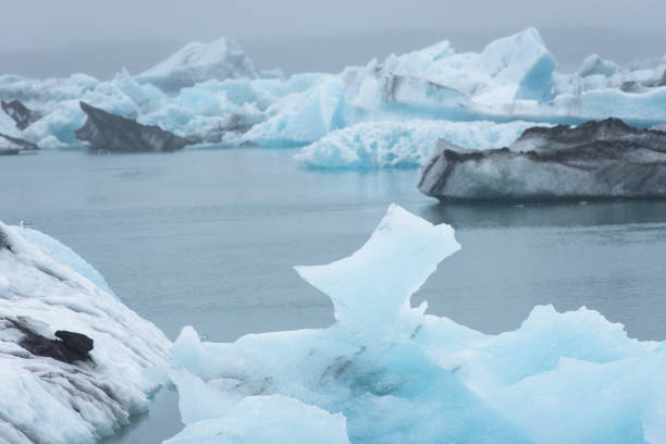 istock Melting floating icebergs in Jokulsarlon, Iceland 1359286518
