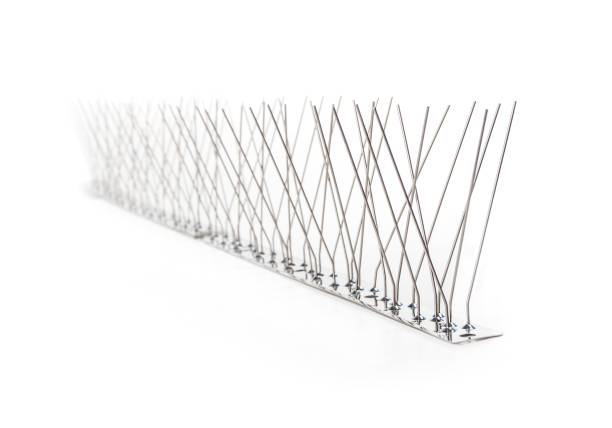 istock Isolated strip of bird spikes. 1359289060
