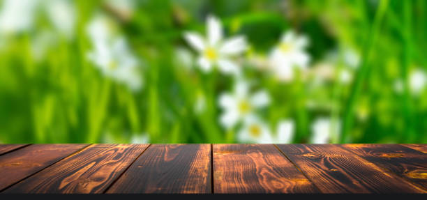 istock Forest wooden table background. Summer sunny meadow with green grass, forest trees background and rustic wooden surface for goods, products, food 1359290245