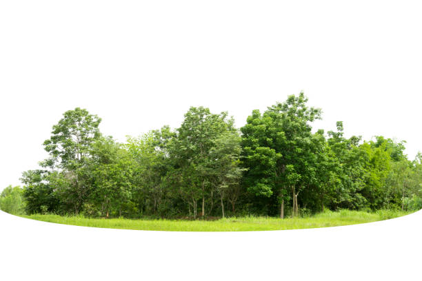 istock View of a High definition 1359291108
