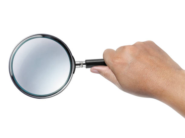 istock Hand holding a magnifying glass isolated on a white background 1359291424