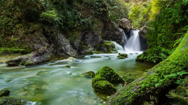 Beautiful photos - Waterfall flows down the stream in the rainforest