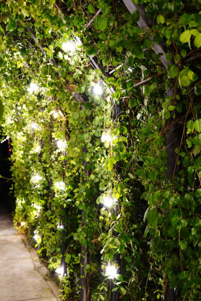 istock Decorative lights and garden 1359294102
