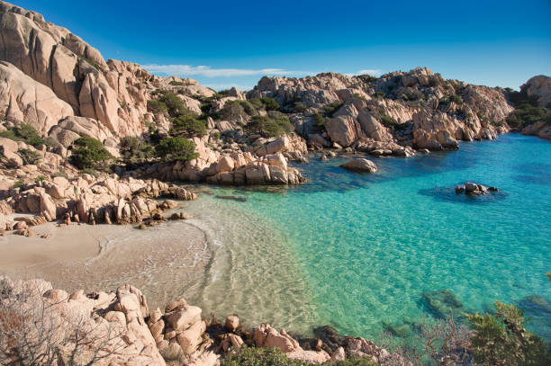 strand von cala coticcio in caprera insel, sardinien, italien - insel caprera stock-fotos und bilder