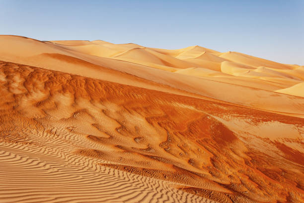 istock Dune Landscape in the Empty Quarter 1359300358